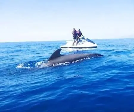 Ocean View Elegant Magic Апартаменты Эль-Пальмар