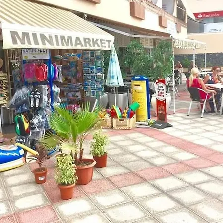 Ocean View Elegant Magic Palm-mar