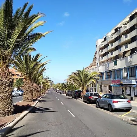 Ocean View Elegant Magic Palm-mar